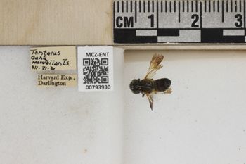 Media type: image;   Entomology 793930 Aspect: Labels